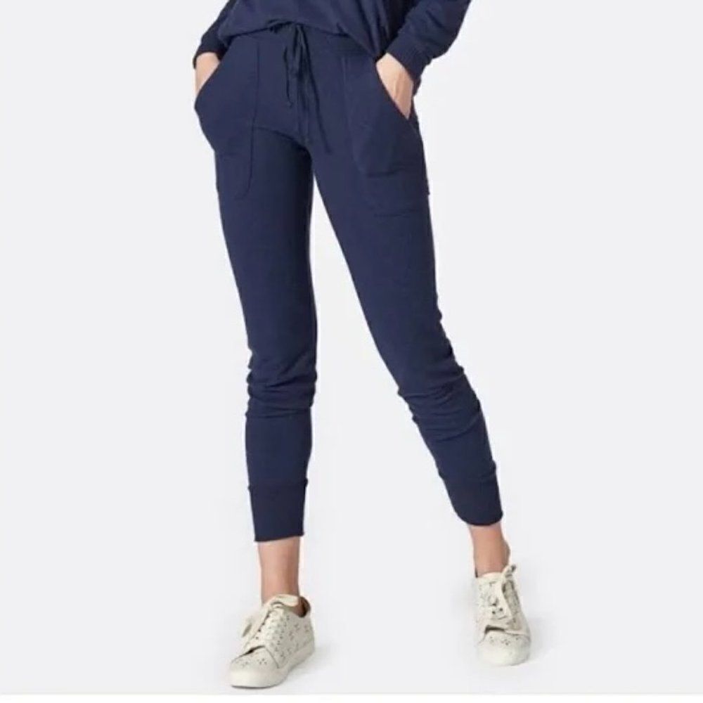 Joie Noa deep sea blue pull on ankle pants, size M